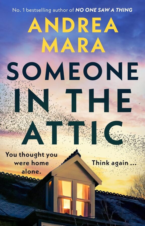 Someone in the Attic