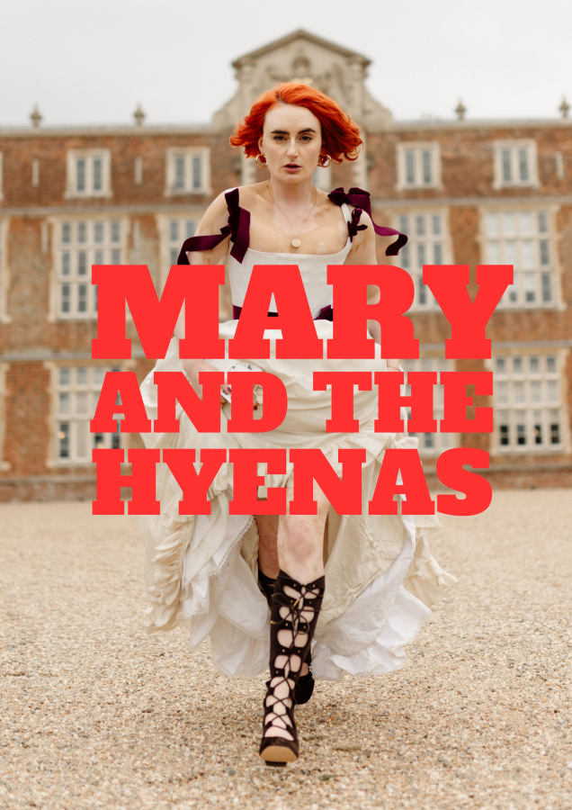 Mary and the Hyenas